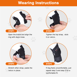 DGYAO Dog Leg Brace for Torn ACL & CCL Dog Knee Brace Wrapped (Pair)