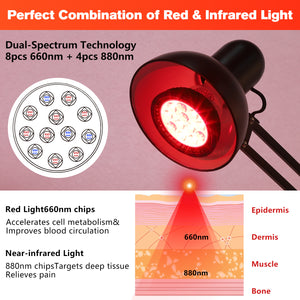 DGYAO Red & Infrared Light Thera Lamp – Full-Body, Custom Height, Dual Light for Skin & Muscle Relaxation Adjustable Device